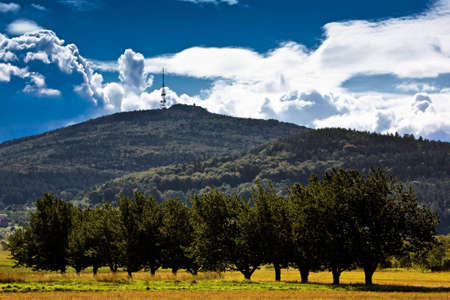 Orchard, Polandの写真素材