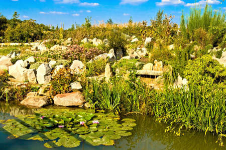 Garden with pondの写真素材