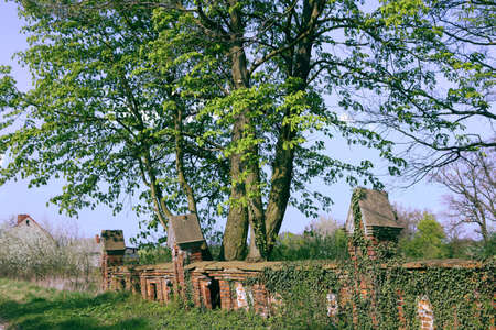 Old wallの写真素材