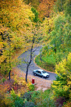 Park in fall timeの写真素材