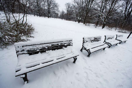 Park in winterの写真素材