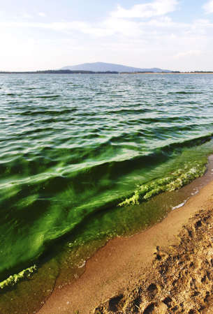 Walk on beachの写真素材