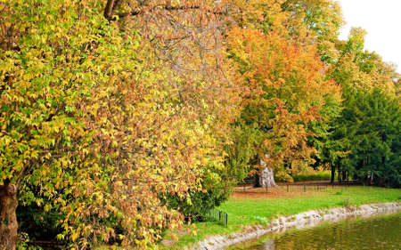 Park in fall timeの写真素材