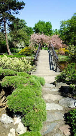 Japanese gardenの写真素材