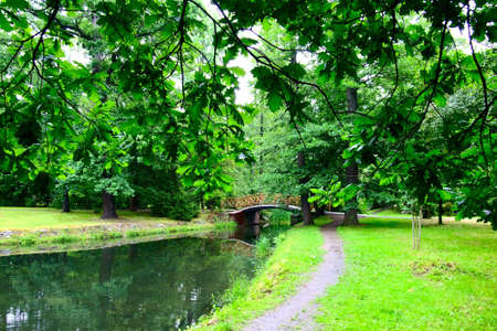 Japanese gardenの写真素材