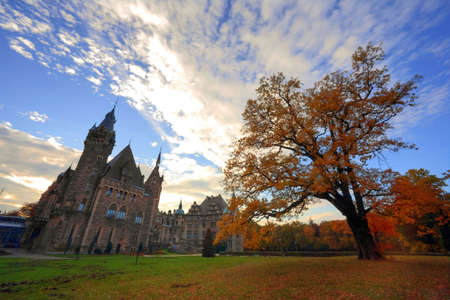 Mysterious Castleの写真素材