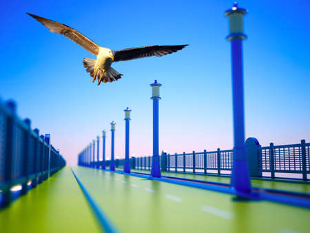 Seagullの写真素材