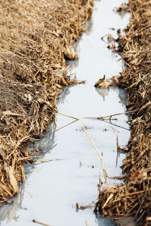Sewage drainage system