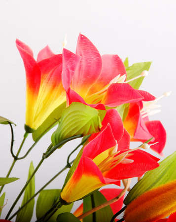 Paper flowersの写真素材