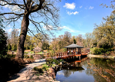 Japanese gardenの写真素材