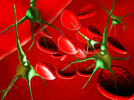Blood cells macro illustration