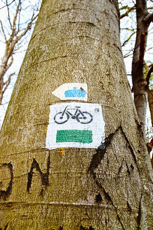 Bicycle trail on treeの写真素材