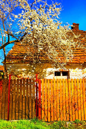 Rural sceneの写真素材