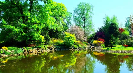 Japanese garden