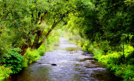 Mountainous creekの写真素材