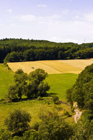 Landscape in Southern Polandの写真素材