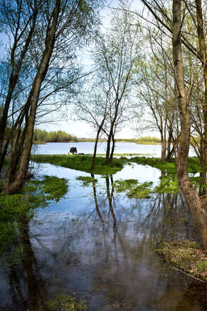 Fishermenの写真素材