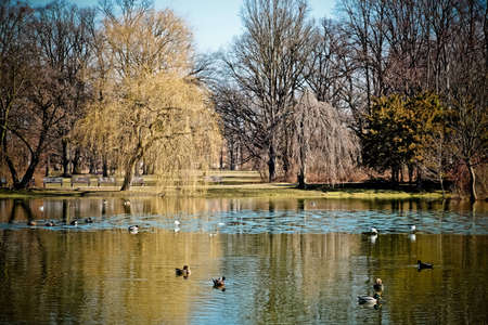 Park in spring timeの写真素材