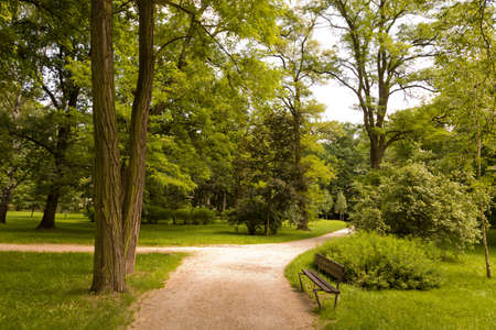 Park in spring timeの写真素材