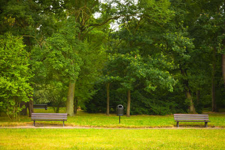 Park in spring timeの写真素材