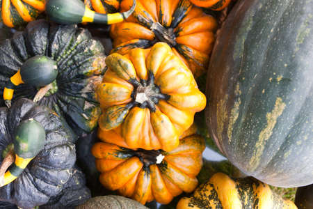 Pumpkins