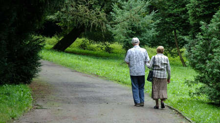 Park in spring timeの写真素材