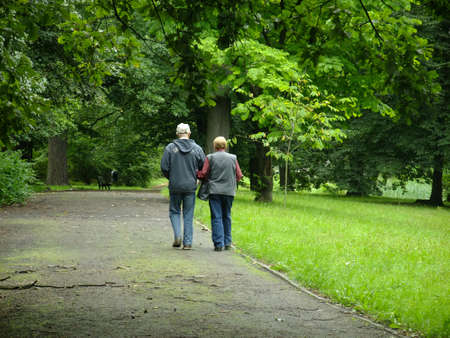 Park in spring timeの写真素材