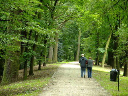Park in spring timeの写真素材