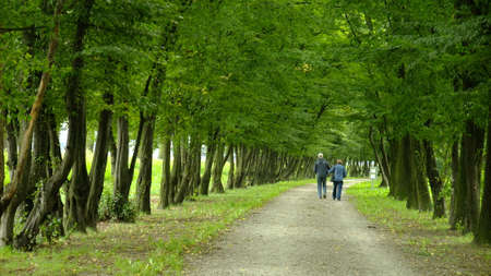 Park in spring timeの写真素材