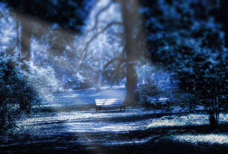 Park at nightの写真素材