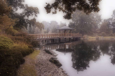 Misty Japanese gardenの写真素材