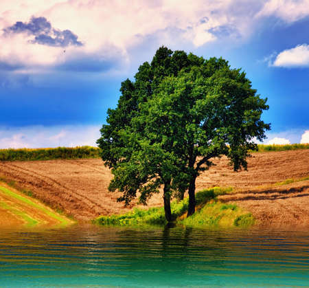 Awesome skyscape over land & waterの写真素材