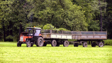 Collecting leaves in parkの写真素材