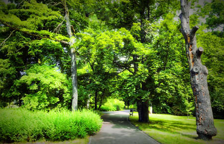 Park in spring time