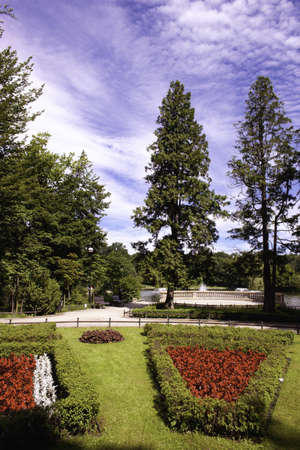 Park in spring timeの写真素材