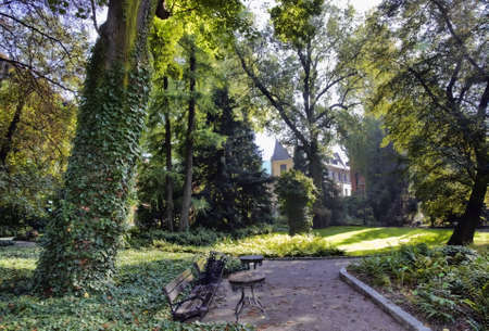 Park in spring timeの写真素材