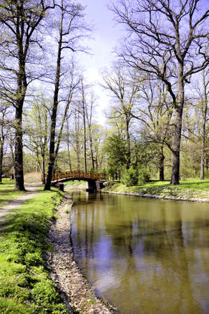 Japanese bridgeの写真素材