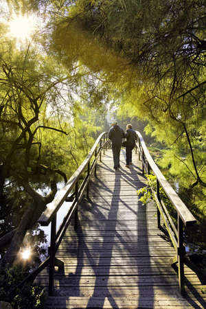 Japanese bridgeの写真素材