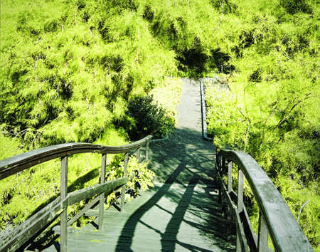 Japanese garden in Wroclaw, Polandの写真素材