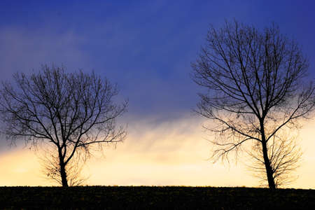 Typical Polish landscape の写真素材