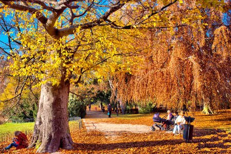 People relaxing in the automnal park