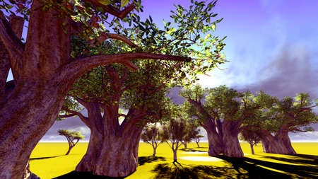 African baobabの写真素材