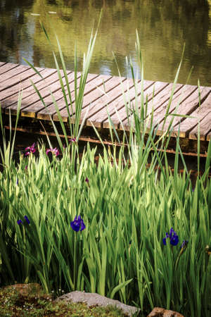 Boardwalk on a old wooden pierの写真素材
