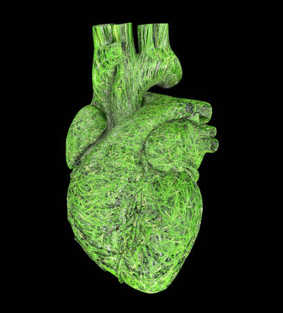 Ecological heart