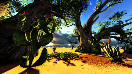 African savannahの写真素材