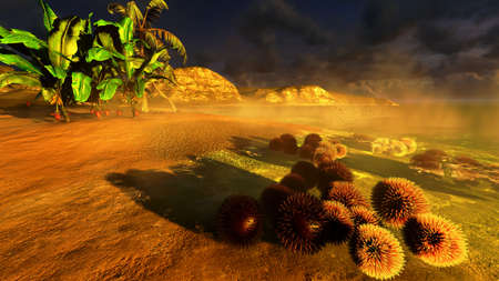 Tropical beach paradiseの写真素材