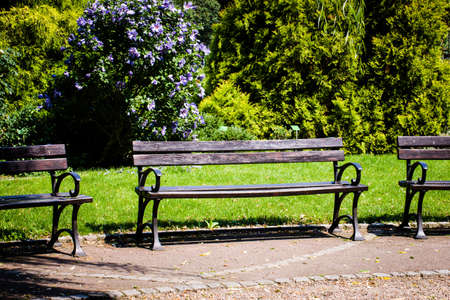  bench in the park at sunsetの写真素材