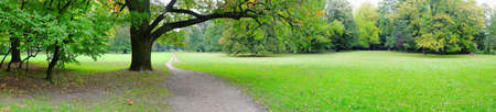 Park in autumn timeの写真素材