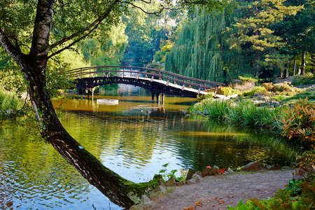 Botanical gardenの写真素材
