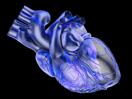 artificial human heartの写真素材